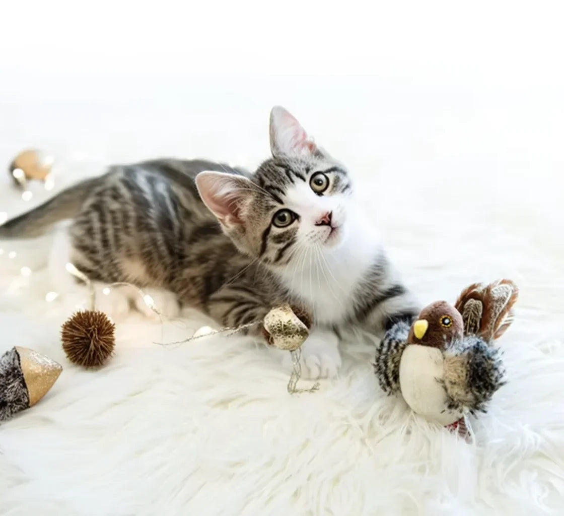 Kuş Sesli Hareketli Kedi Oyuncağı